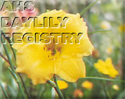 Alison Remsberg AHS image