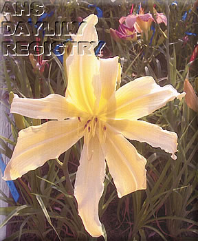 Bob Daniel AHS image