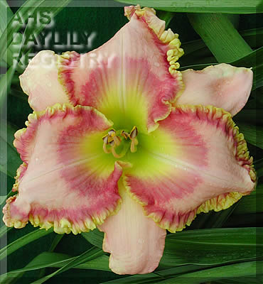 Angel of Peace AHS image