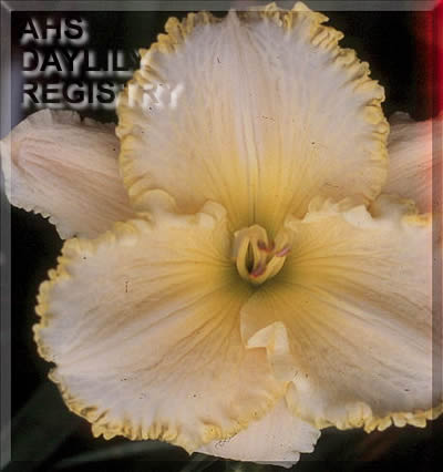Butter and Sugar AHS image