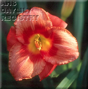 Desert Fire AHS image