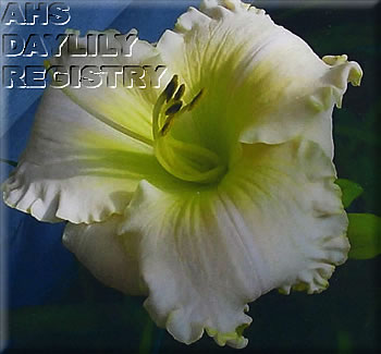 J. Rodney Fryxell AHS image