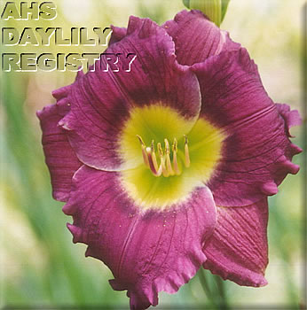 Vision of Sugar Plums AHS image