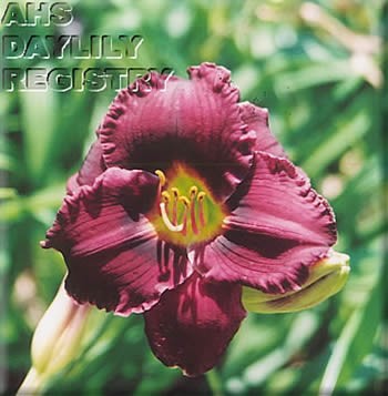 Purple Warrior AHS image