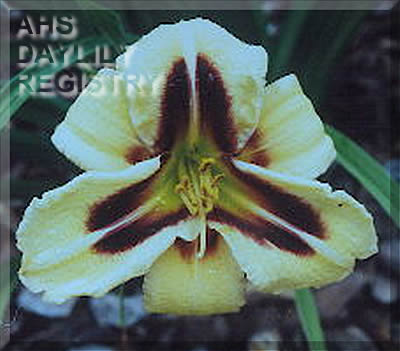 Little Asia AHS image