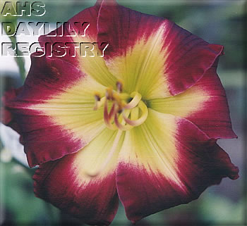 Nature's Starfire AHS image