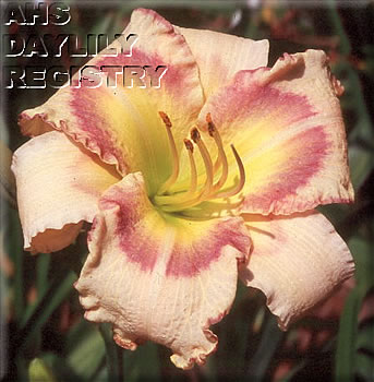 Pinegarden Klondike AHS image