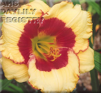 Katelyn Ann AHS image