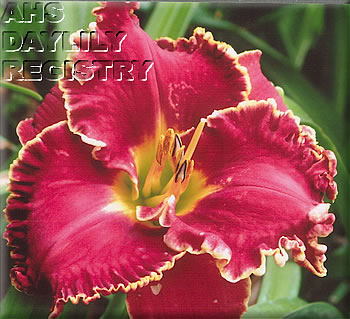 Michelle Marie AHS image