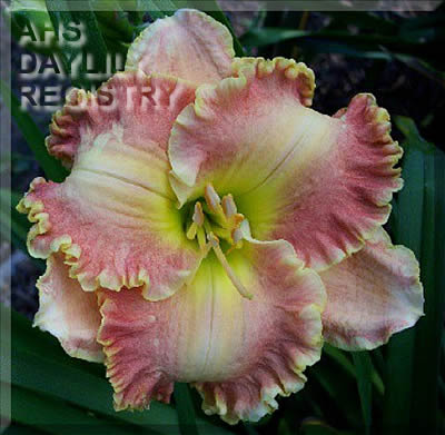 Carla's Folly AHS image