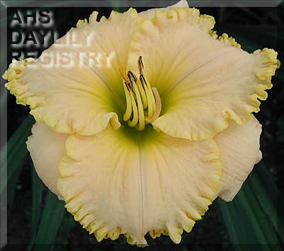 Pathway of Peace AHS image