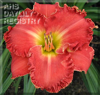Soul on Fire AHS image