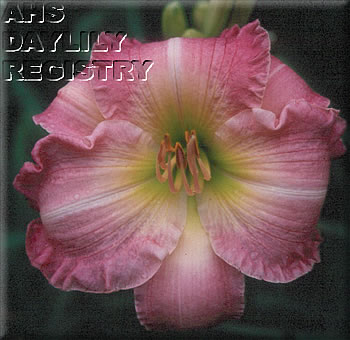 Wayne Booth Memorial AHS image