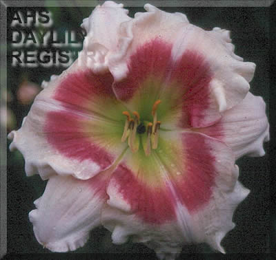 Lavern Ruffin AHS image