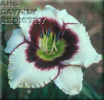 Phantom Waltz AHS image