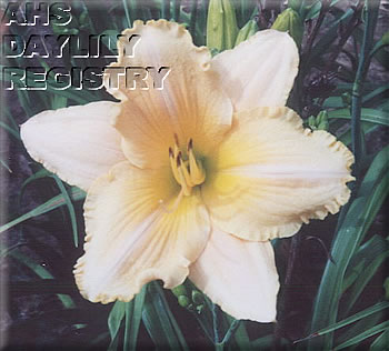 Peachland Honeyglo AHS image