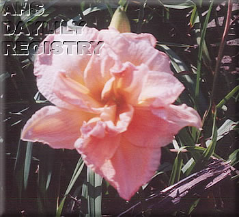 Exotic Eloquence