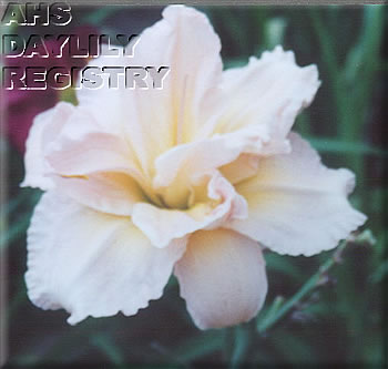Peachland Belle