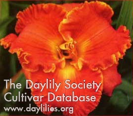 Taste of the Tropics AHS image