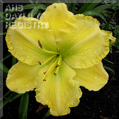 Guiding Hand AHS image