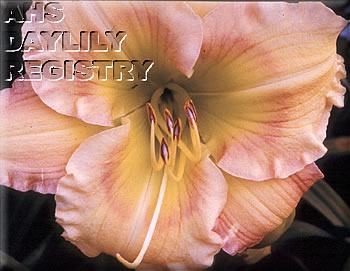 Forsyth Big Green AHS image