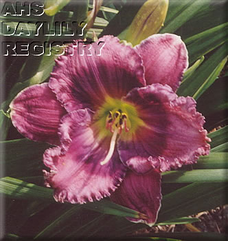 Purple Persuasion AHS image