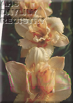 Dolores Ann AHS image