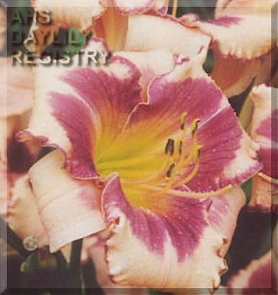 Budding Elegance AHS image