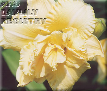 Oro de Mount Eagle AHS image