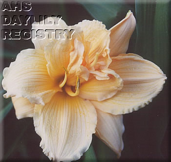 Debra's Pineapple Delight