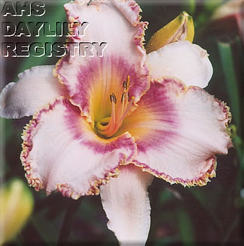 Stella Patton AHS image