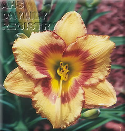 Timothy E. Minton AHS image
