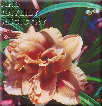 Calvin and Lova Jean AHS image