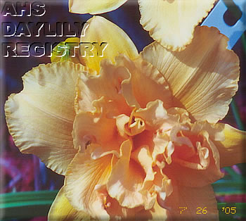 Loretta Brandenberger AHS image