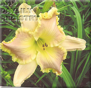 Wild Duck AHS image