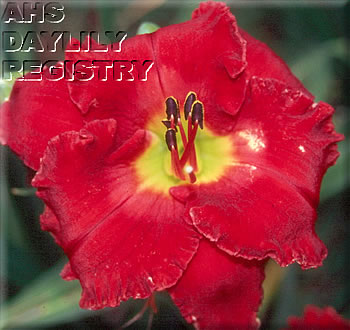 Dipped in Red AHS image