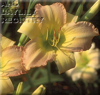 Genuine Country AHS image