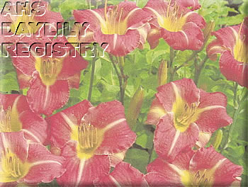 Nature Boy AHS image
