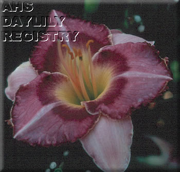Centrifugal Jelly AHS image