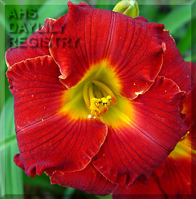 High Dudgeon AHS image