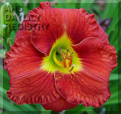 Journeys of the Heart AHS image