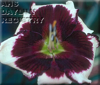 Ledgewood's Gabrielle AHS image