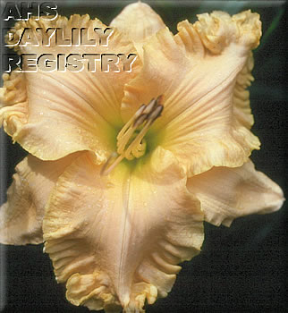 Ledgewood's Citation AHS image