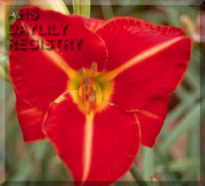 Russell James Polcyn AHS image