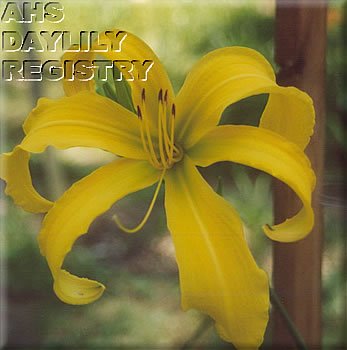Mighty Sol AHS image