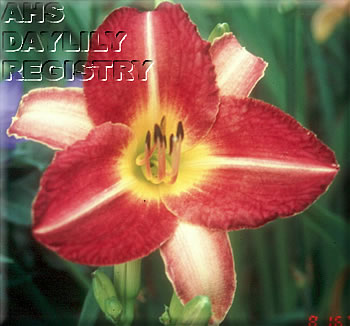 September Serenade AHS image