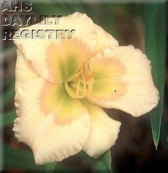 Lilliputian Lovely AHS image