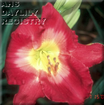 Hungarian Rhapsody AHS image