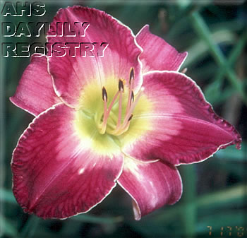 Music of the Night AHS image