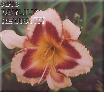 Jagna AHS image